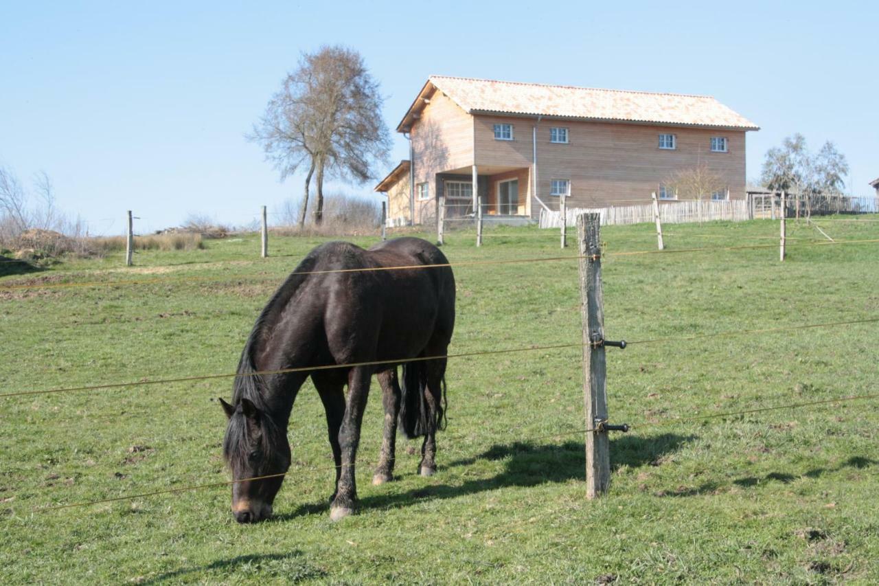 Le Petit Durbec La Force (Dordogne) Exterior foto